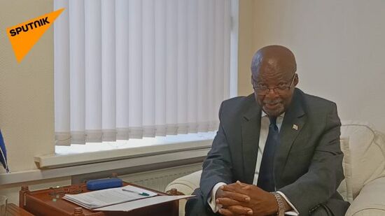 South Africa, as the current chair of the BRICS alliance, is going to officially invite Russian President Vladimir Putin to the summit in August and expects him to attend the event, South African Ambassador to Russia Mzuvukile Jeff Maqetuka said in an interview with Sputnik