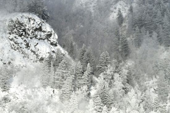 Russia Weather