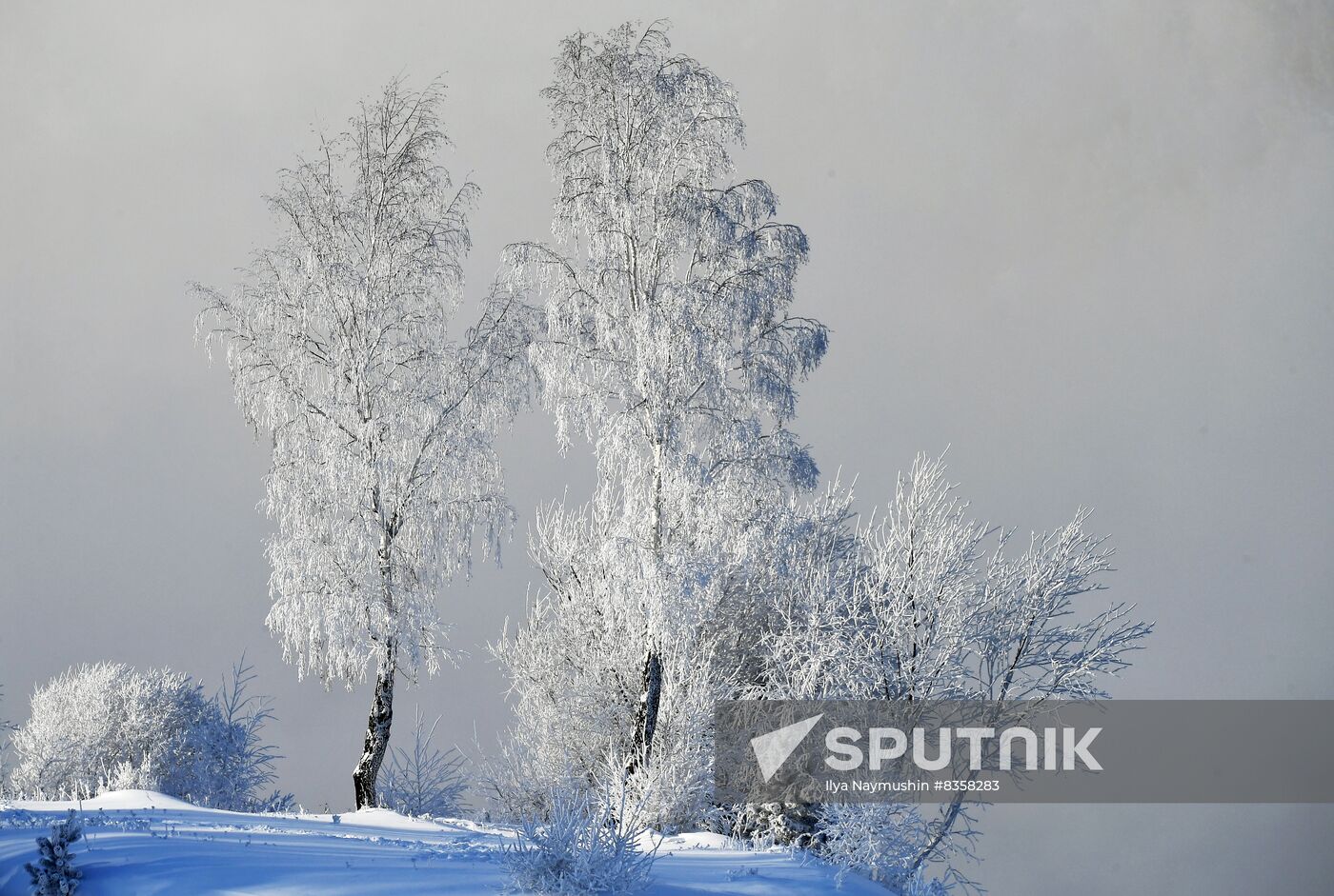 Russia Weather