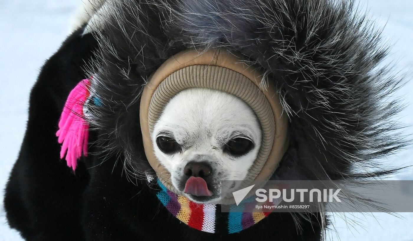 Russia Weather