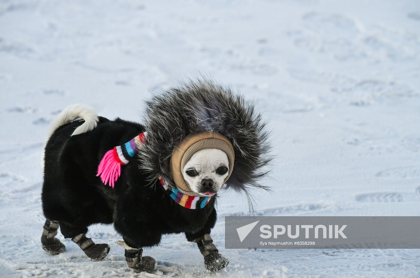 Russia Weather