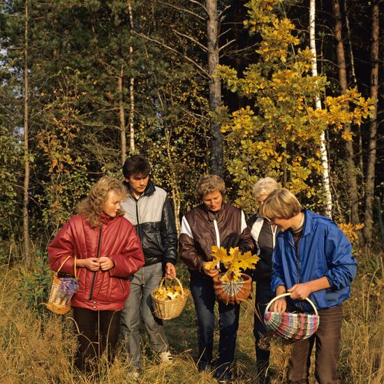 Mushroom picking in forest