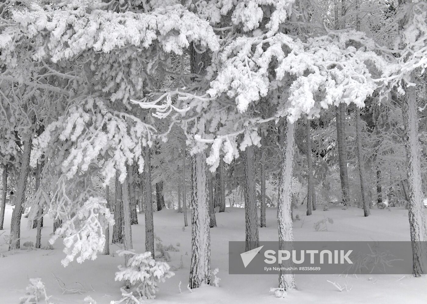 Russia Weather