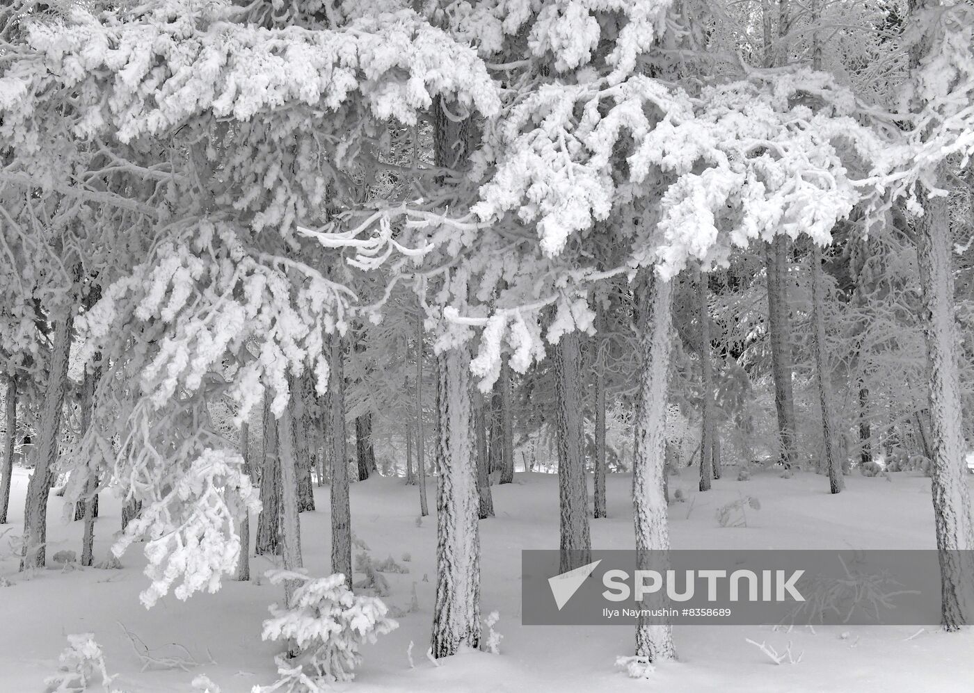 Russia Weather