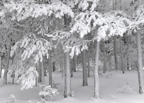 Russia Weather