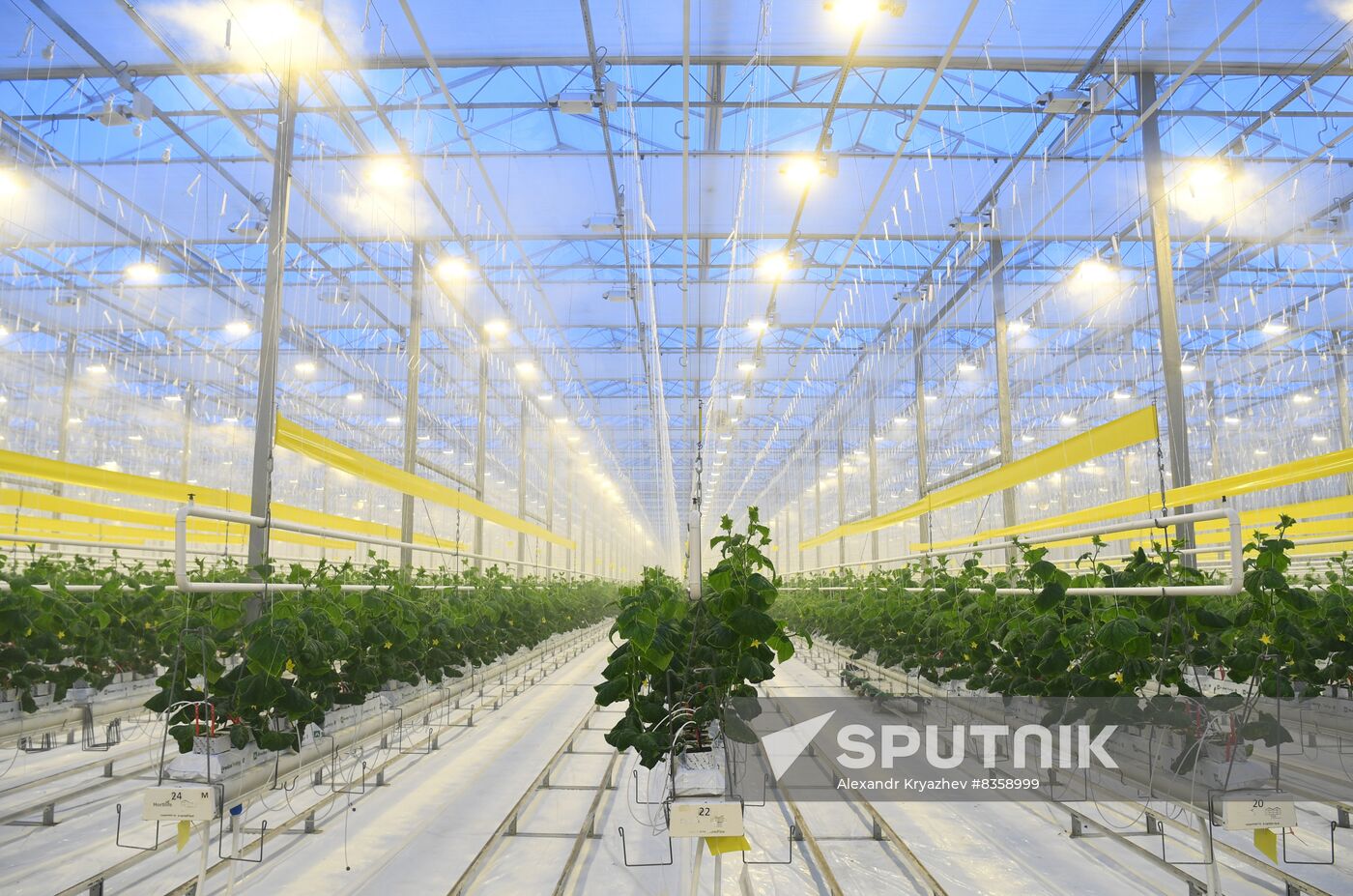 Russia Agriculture