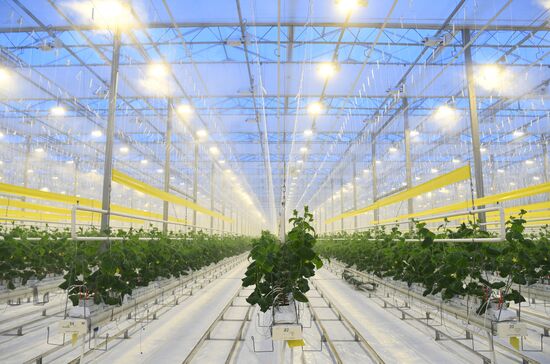 Russia Agriculture
