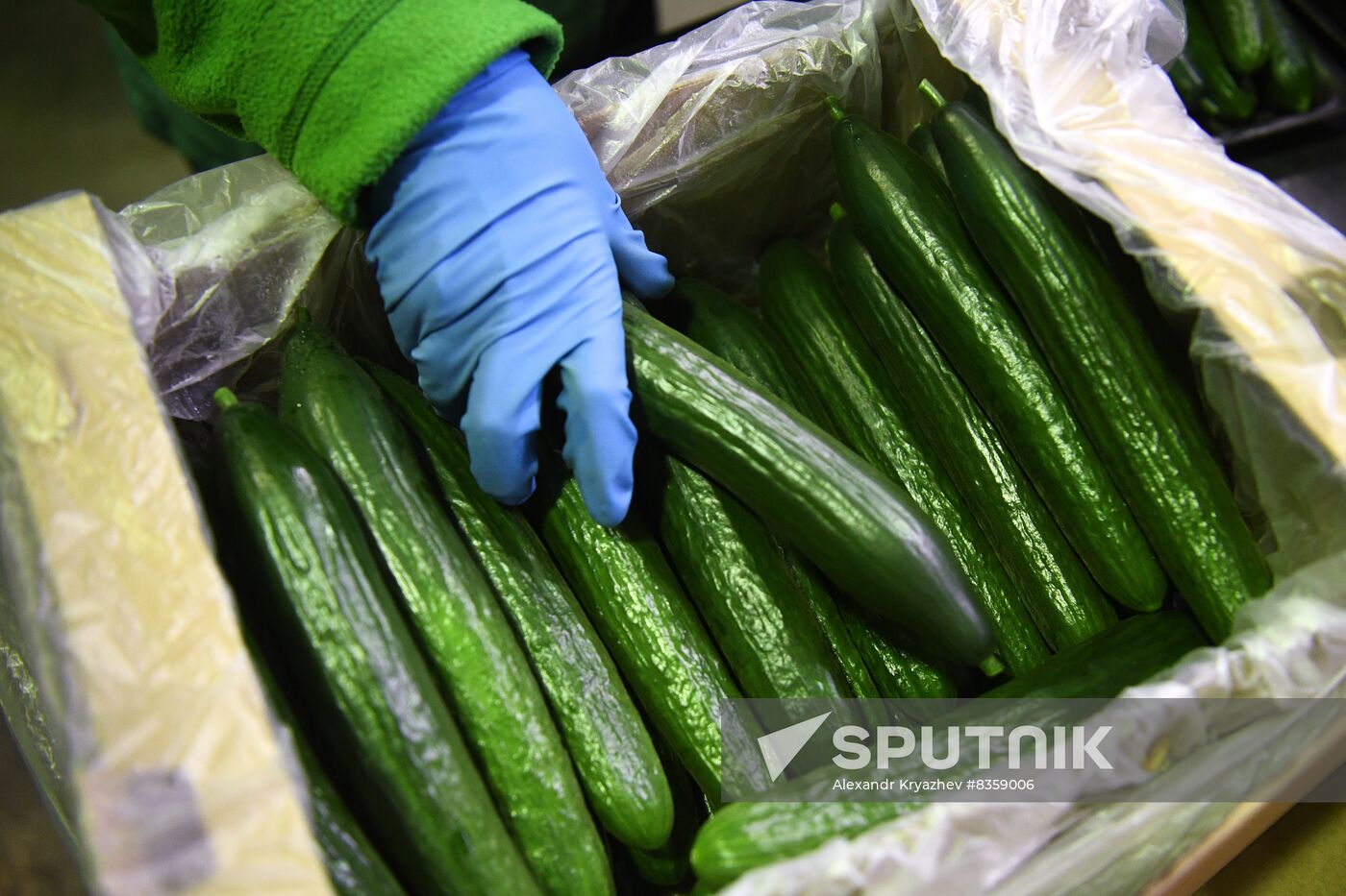 Russia Agriculture