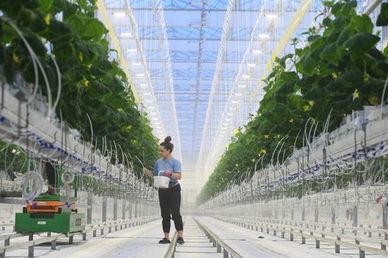 Russia Agriculture