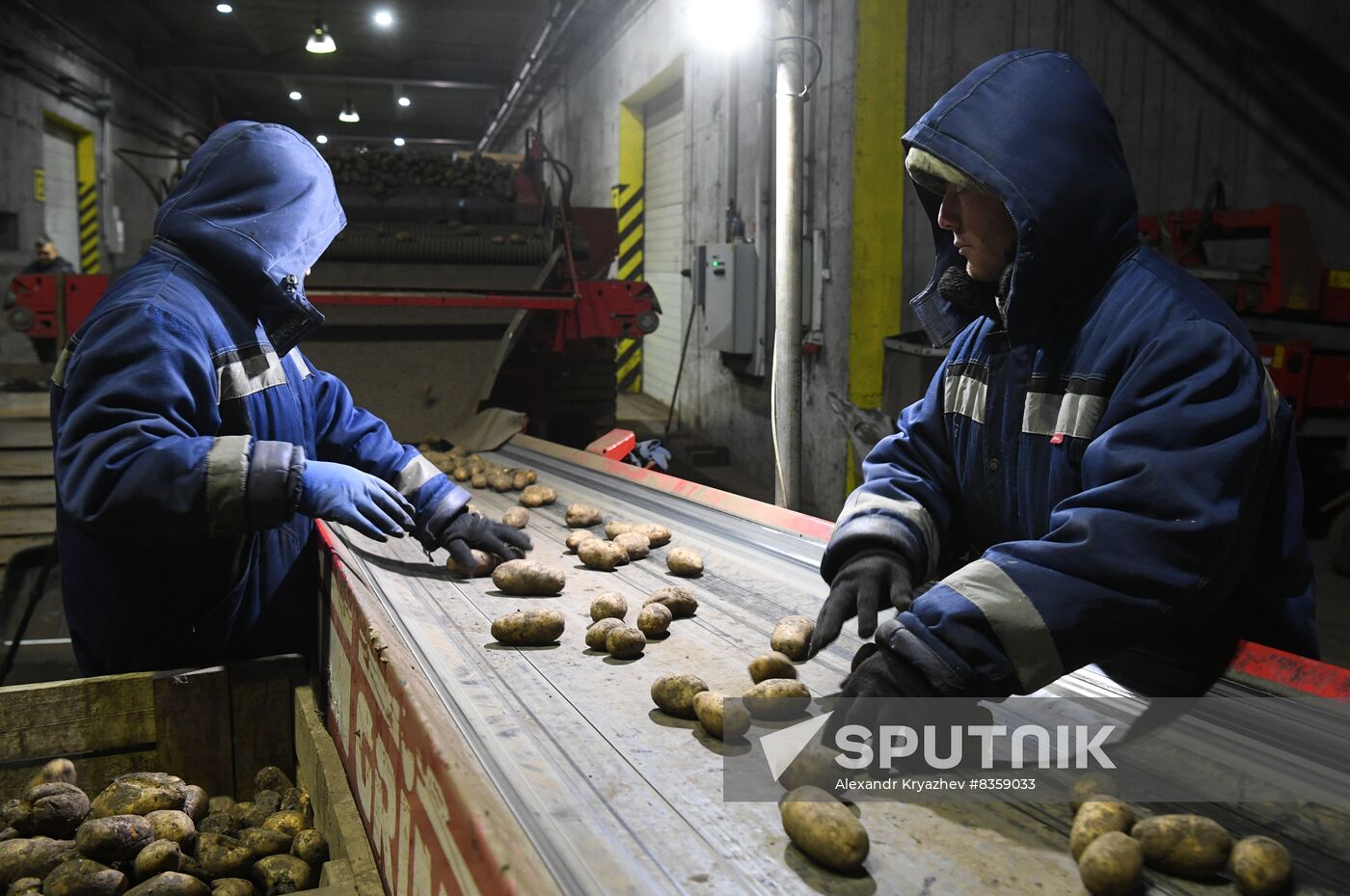 Russia Agriculture