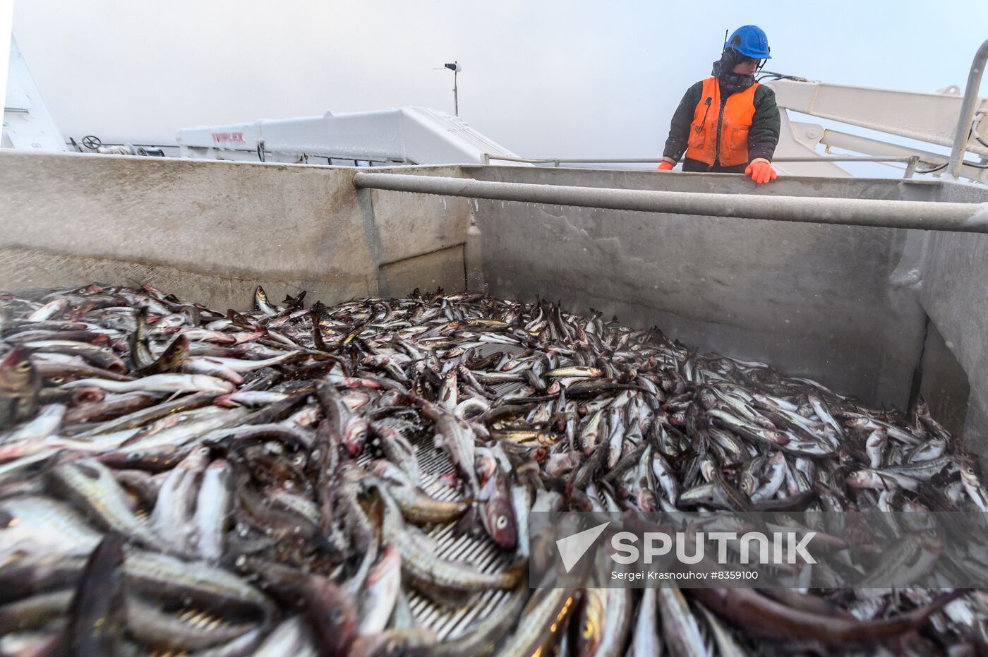 Russia Fish Indusrty