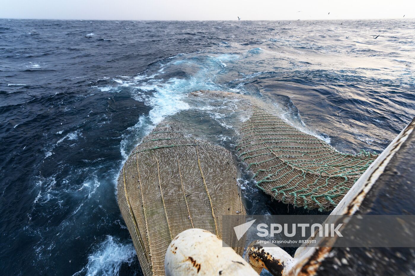 Russia Fish Indusrty