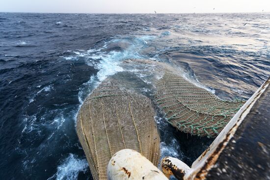 Russia Fish Indusrty