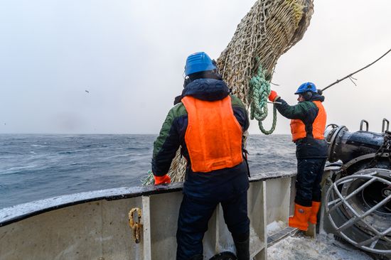 Russia Fish Indusrty