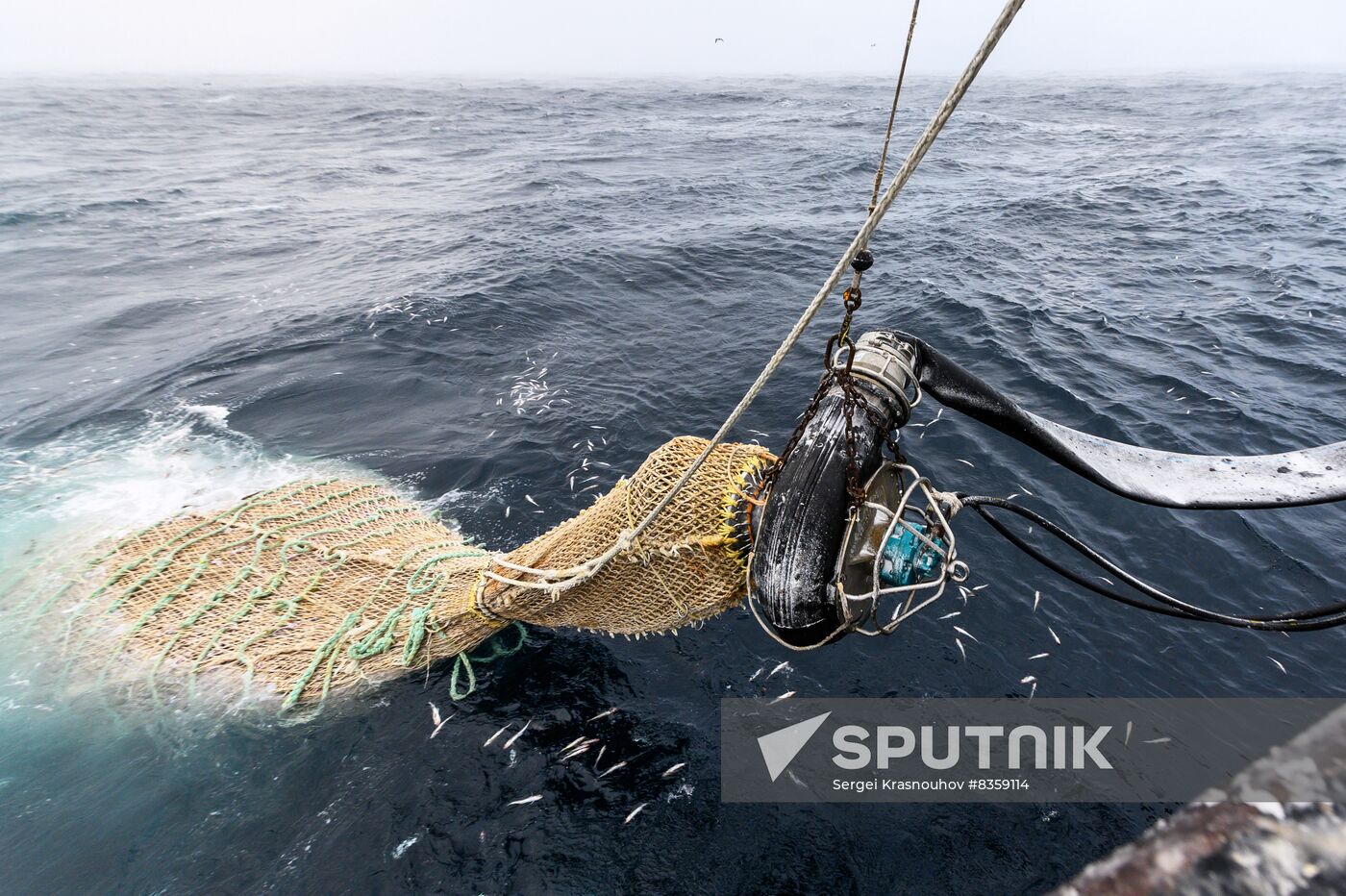 Russia Fish Indusrty