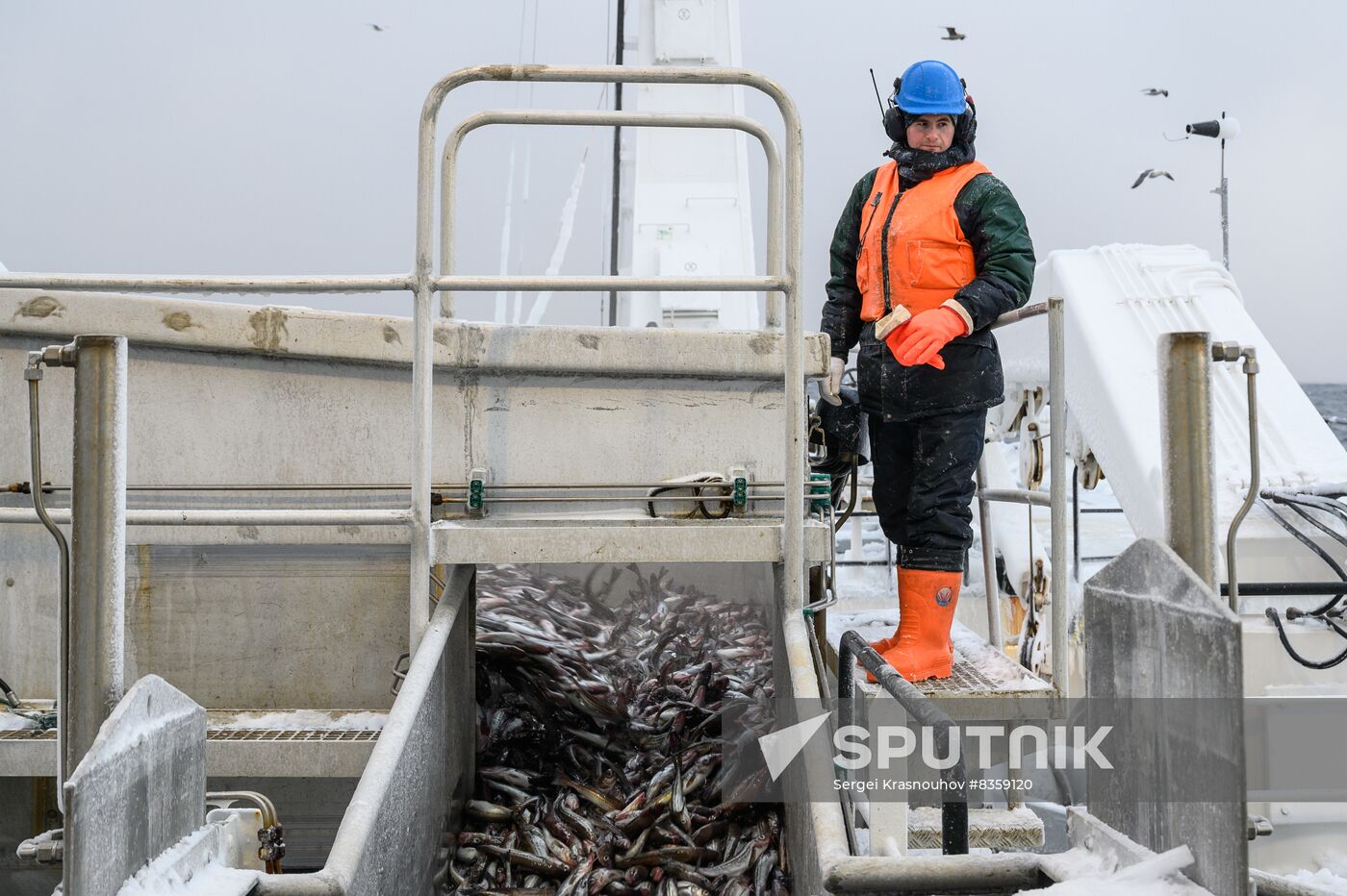 Russia Fish Indusrty