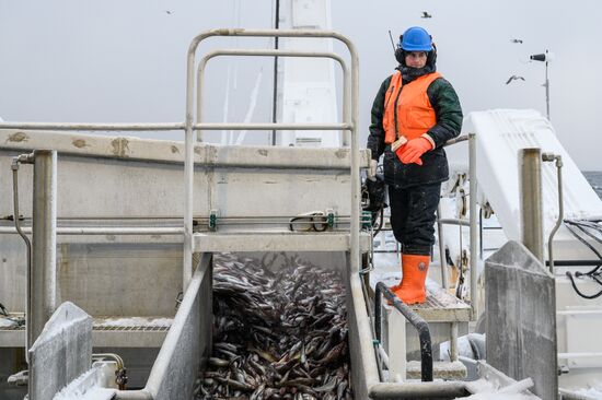 Russia Fish Indusrty