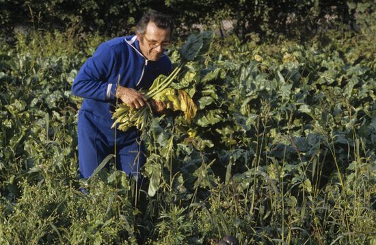 Zapiskis collective farm, Lithuanian SSR