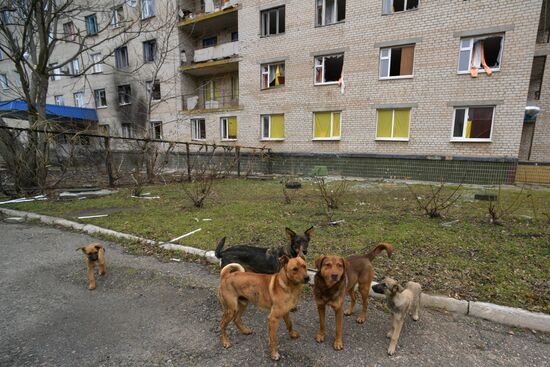 Russia Ukraine Military Operation Shelling