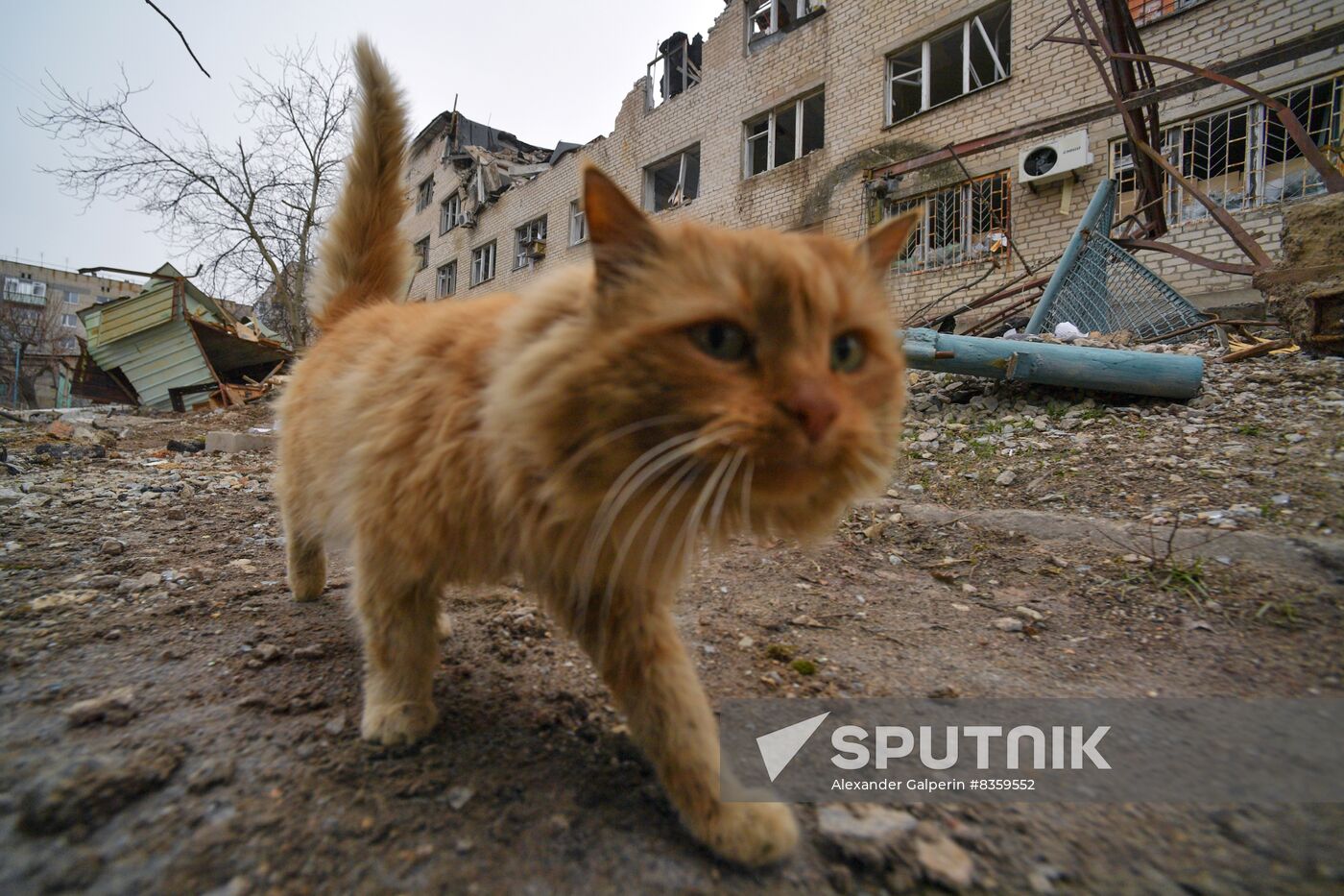 Russia Ukraine Military Operation Shelling