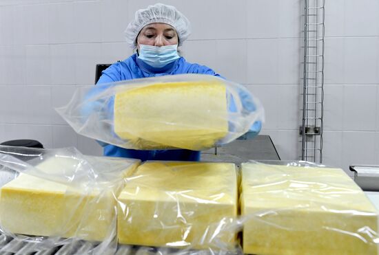 Russia Dairy Industry