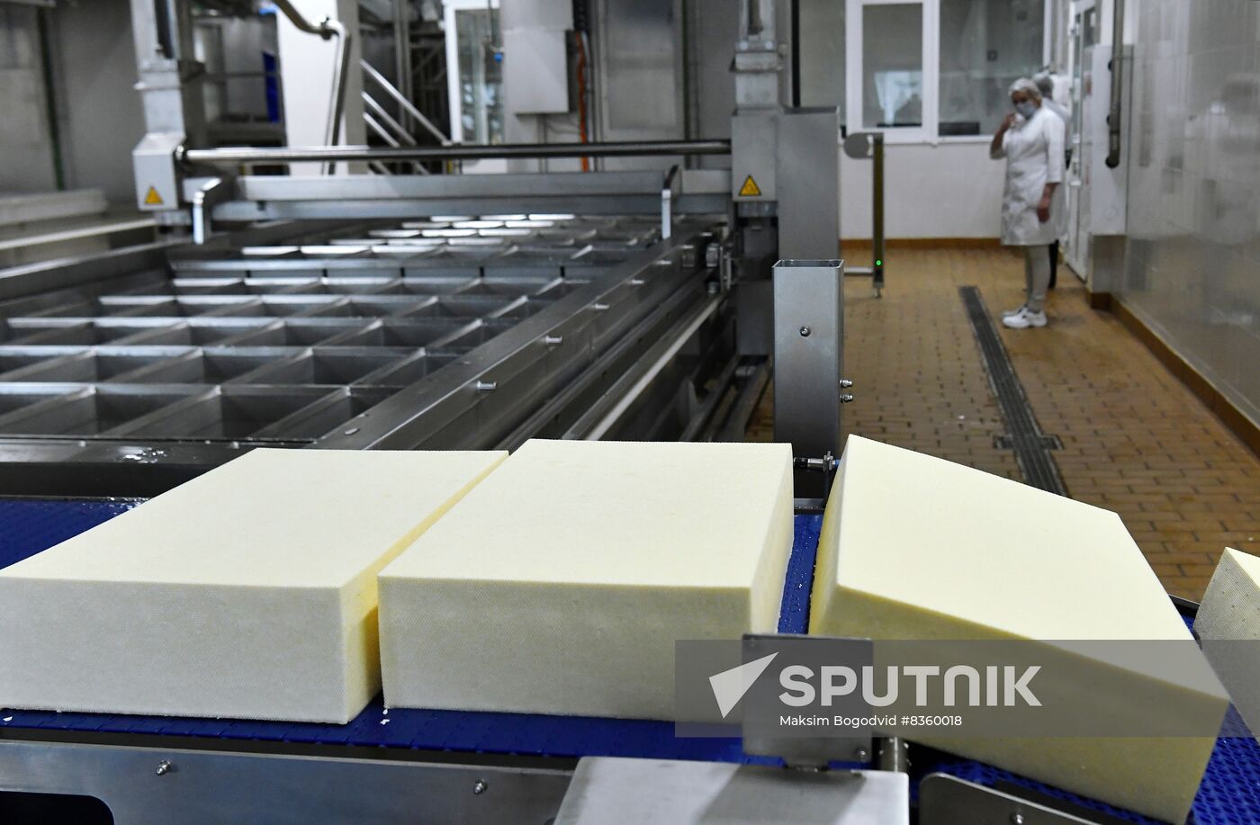 Russia Dairy Industry