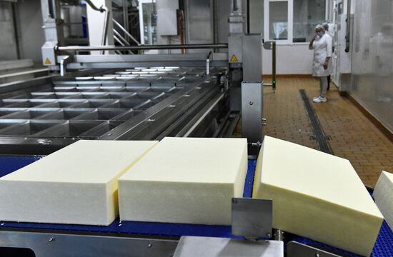 Russia Dairy Industry