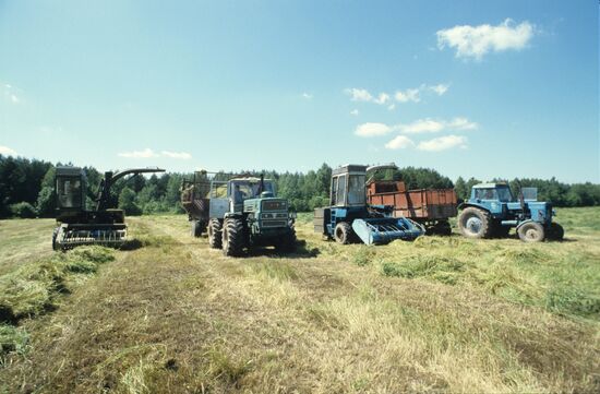 Collective Farm For Peace in Lithuania