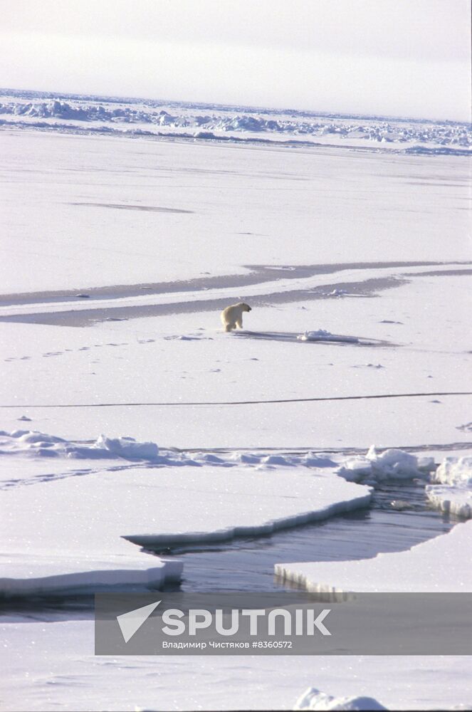 Sibir icebreaker expedition