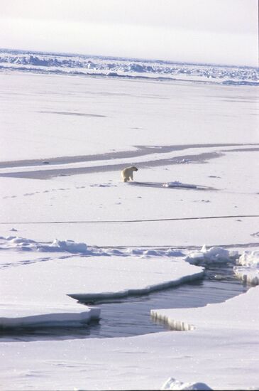 Sibir icebreaker expedition