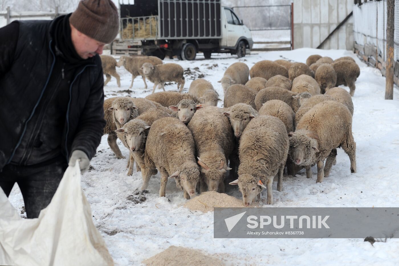 Russia Agriculture Livestock Breeding