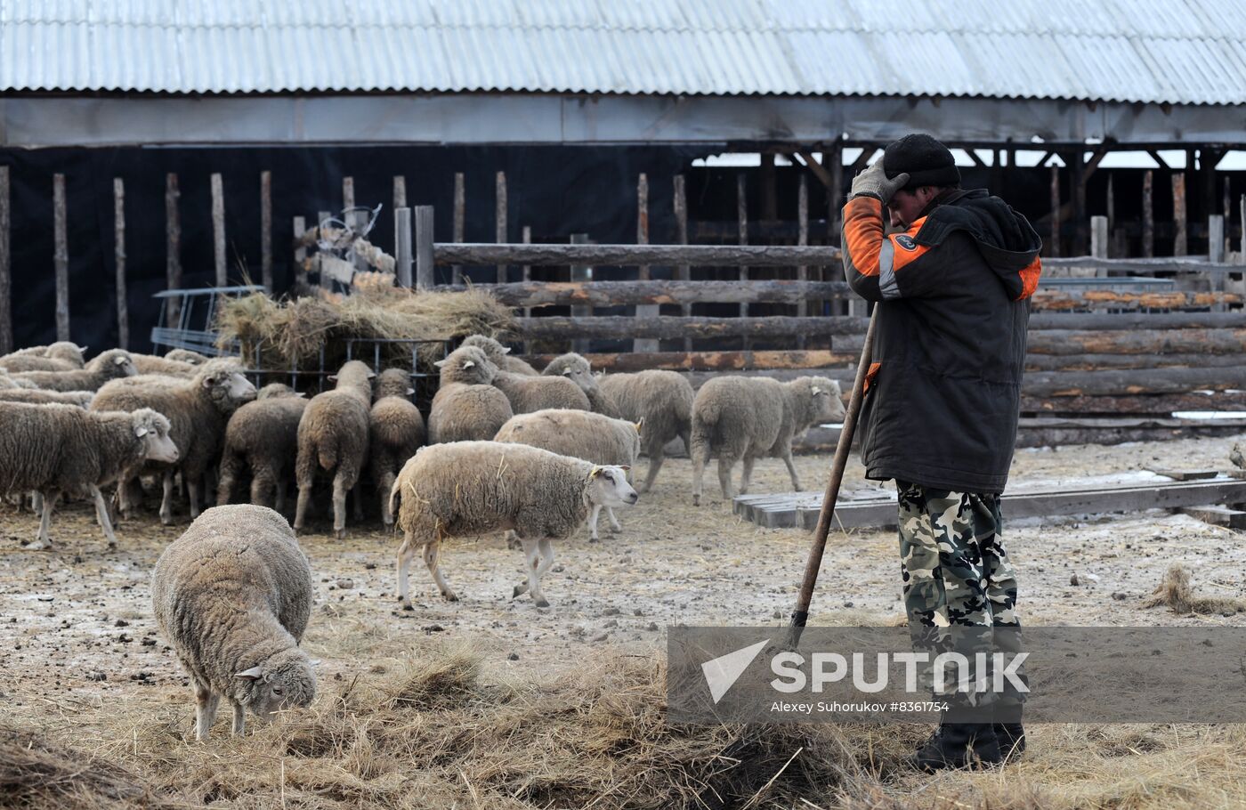 Russia Agriculture Livestock Breeding