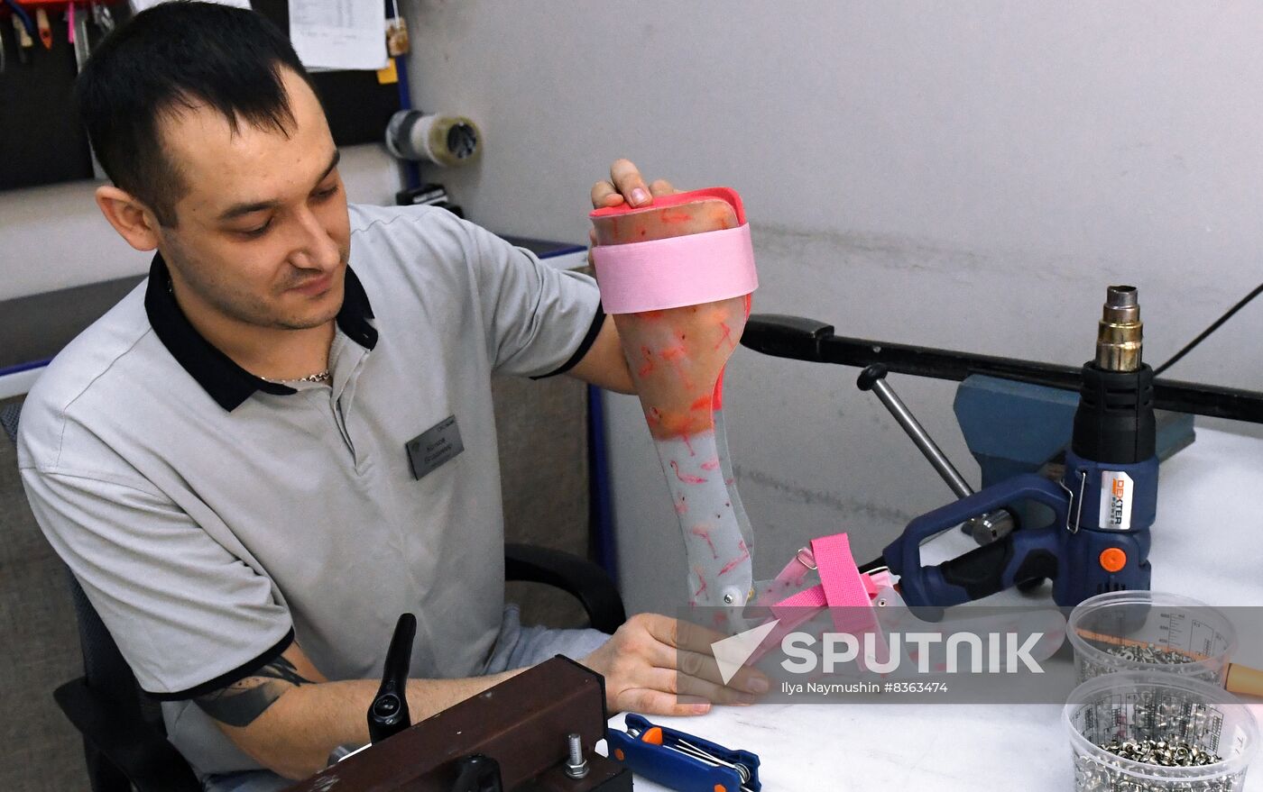 Russia Prosthetics Centres