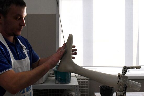 Russia Prosthetics Centres