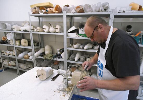 Russia Prosthetics Centres