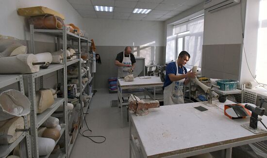 Russia Prosthetics Centres