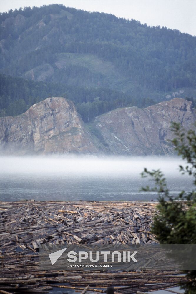 Logs drifting along Yenisei River near Ovsyanka village