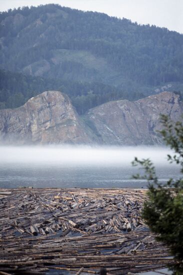Logs drifting along Yenisei River near Ovsyanka village