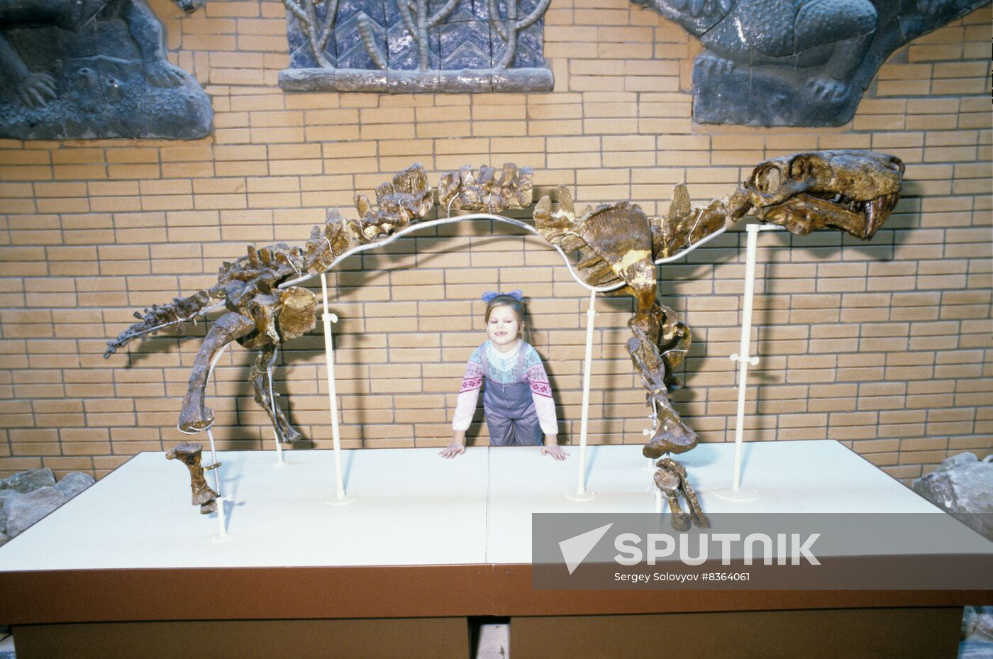 Orlov Paleontological Museum of USSR Academy of Sciences