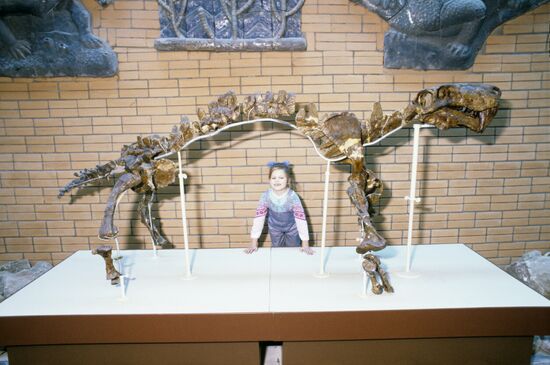 Orlov Paleontological Museum of USSR Academy of Sciences