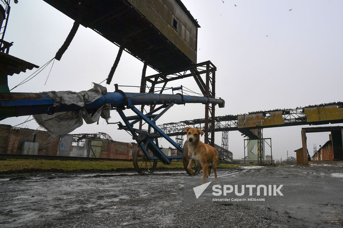 Russia Ukraine Military Operation Grain Elevator