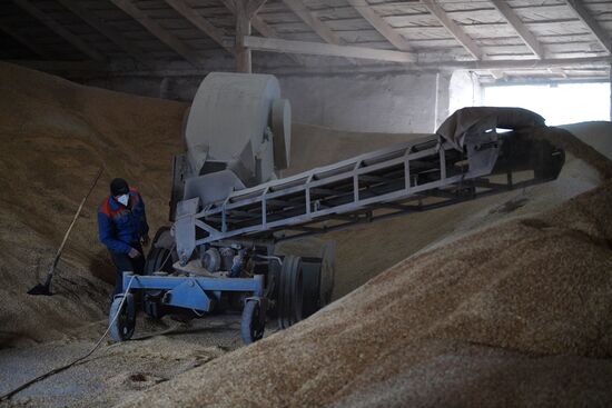 Russia Ukraine Military Operation Grain Elevator