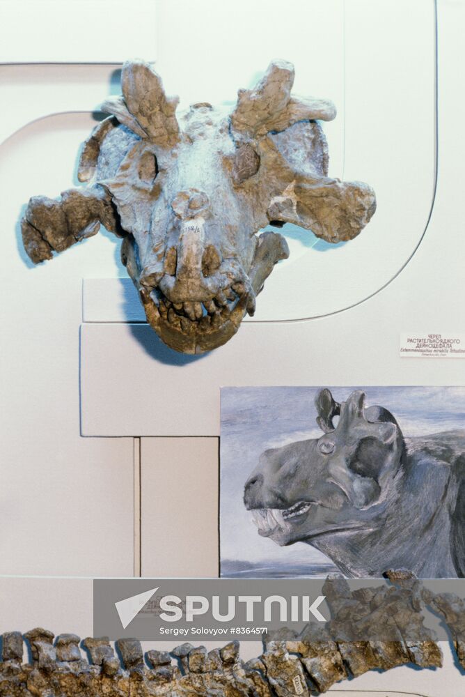 Orlov Paleontology Museum of Soviet Academy of Sciences