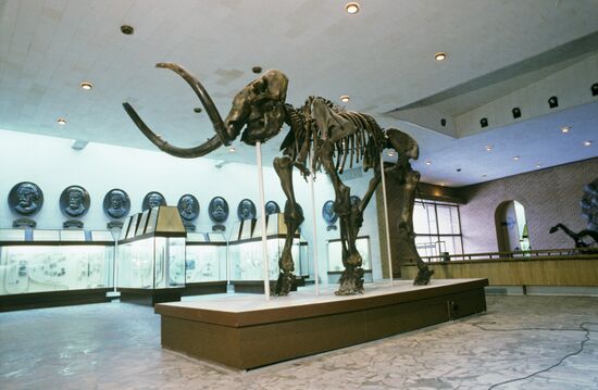 Orlov Paleontology Museum of Soviet Academy of Sciences