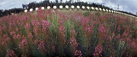 Badary Radio Astrophysical Observatory
