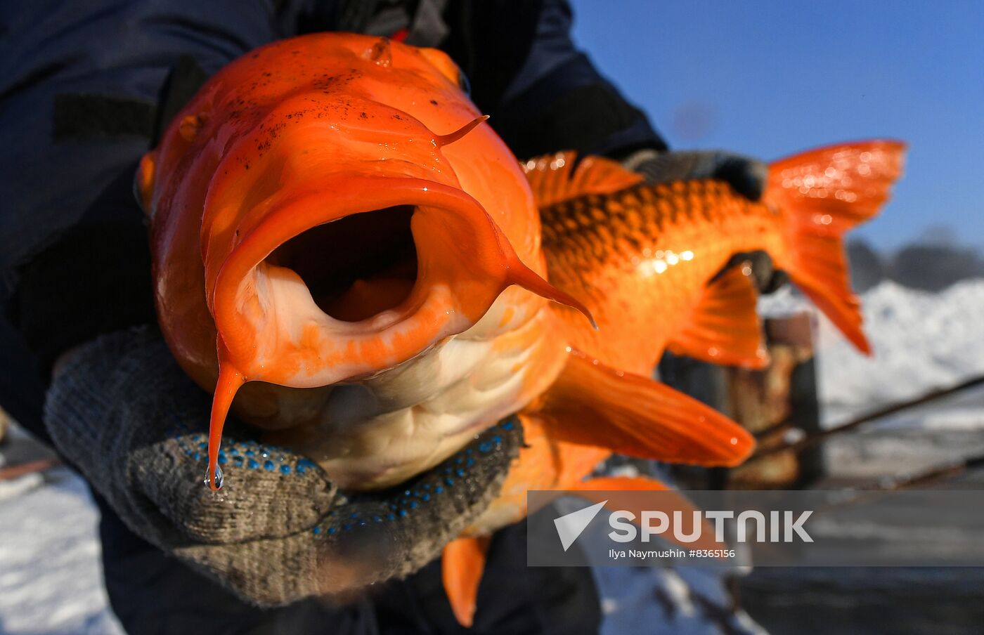 Russia Fish Farming