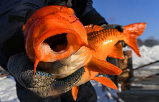 Russia Fish Farming