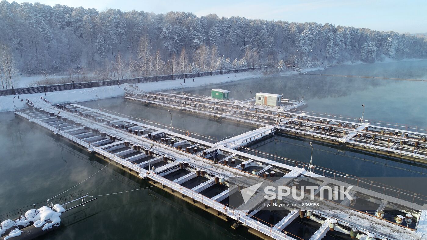 Russia Fish Farming