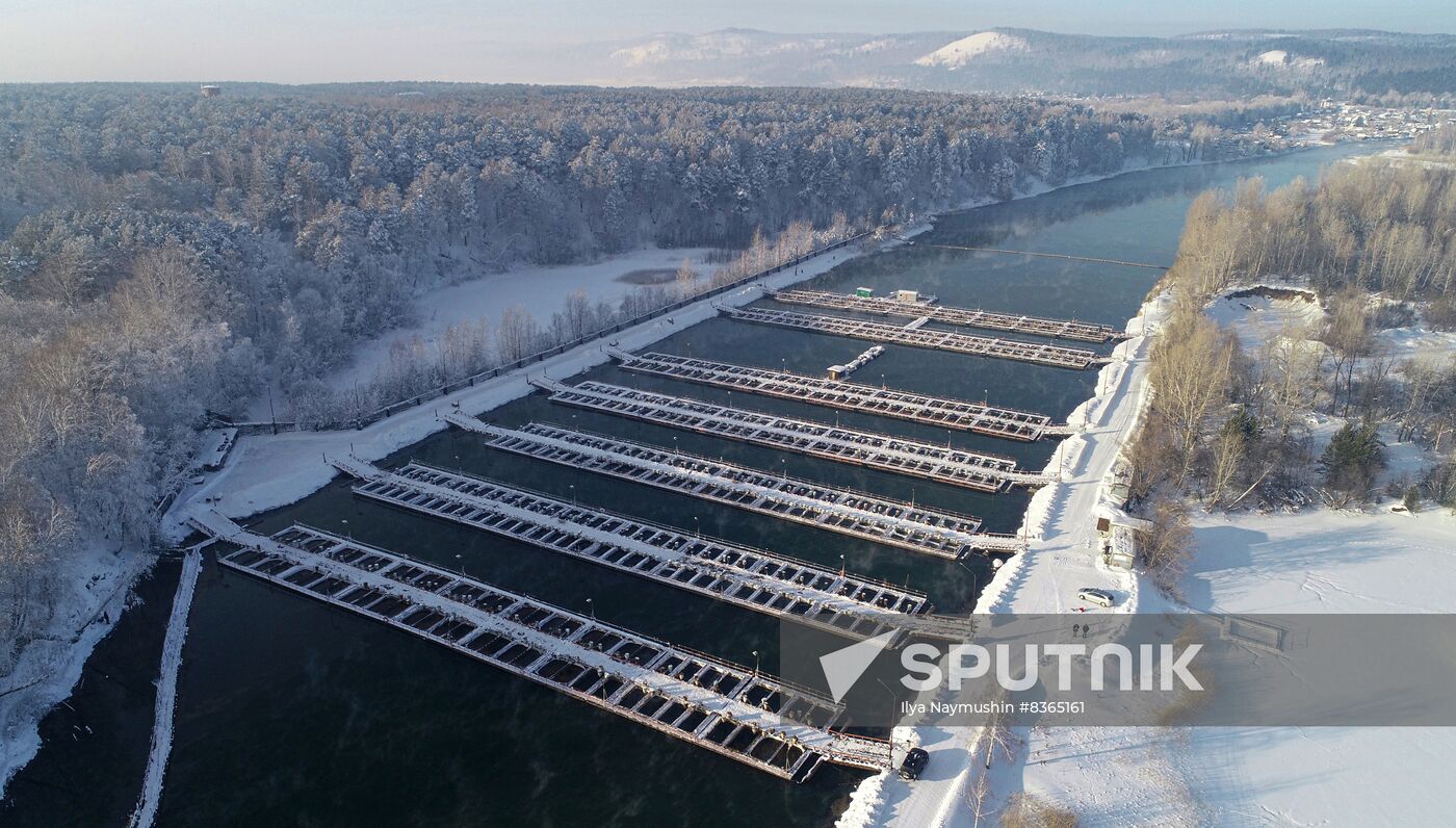 Russia Fish Farming