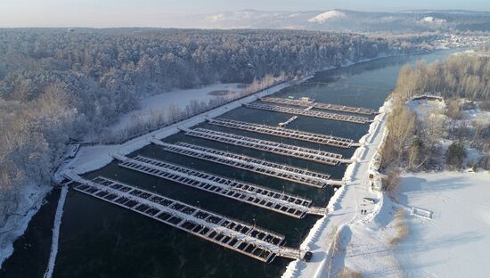 Russia Fish Farming